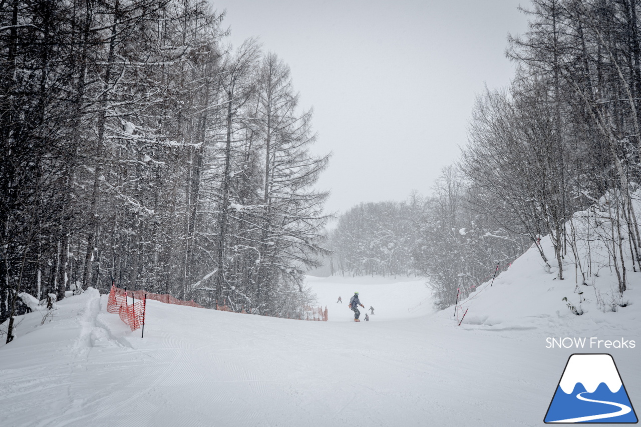 キャンモアスキービレッジ｜アットホームな人の優しさがもたらす、居心地の良さ…。スペックなどの数字では表すことが出来ない、スケール感の大きな素晴らしきローカルスキー場♪